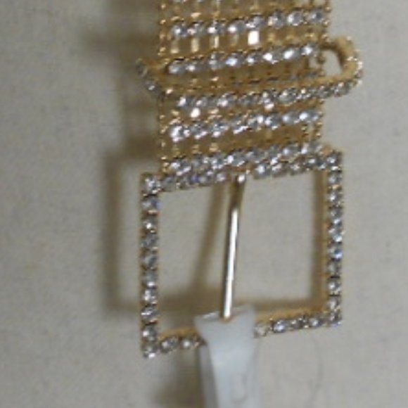 The Almost Perfect Belt! main image 6